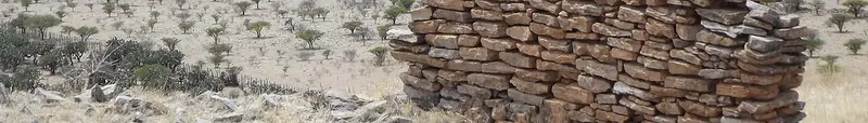 Zacatecas