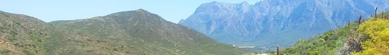 Karoo