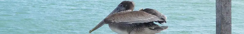 Quintana Roo