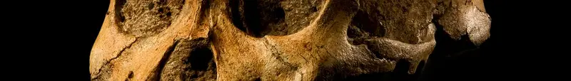 Cradle of Humankind