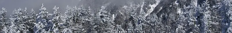 Gifu Prefecture