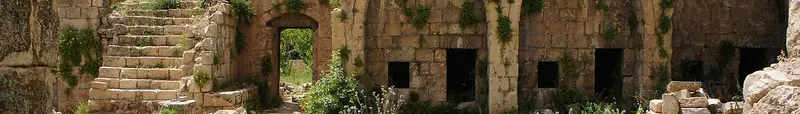 Amedi