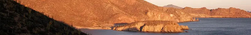 Sonora