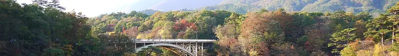 Miyagi Prefecture
