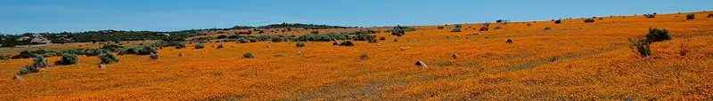 Northern Cape
