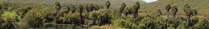Sun City